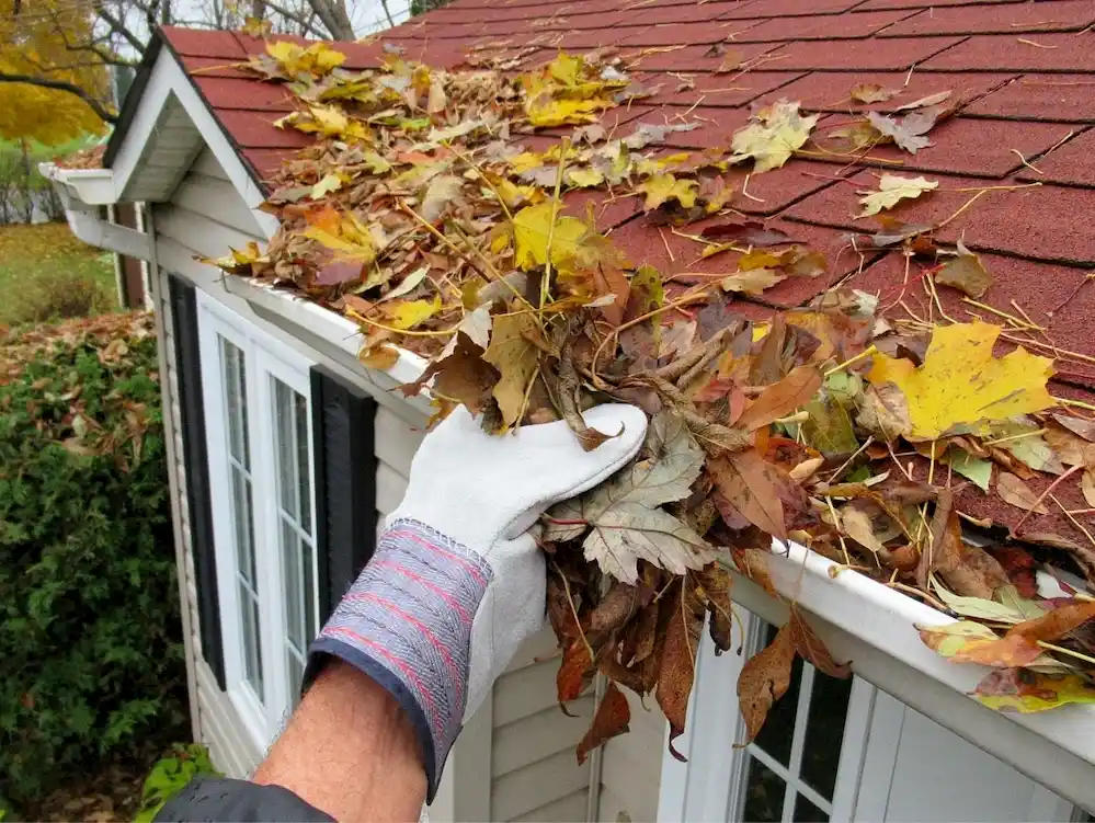 cleaning gutters